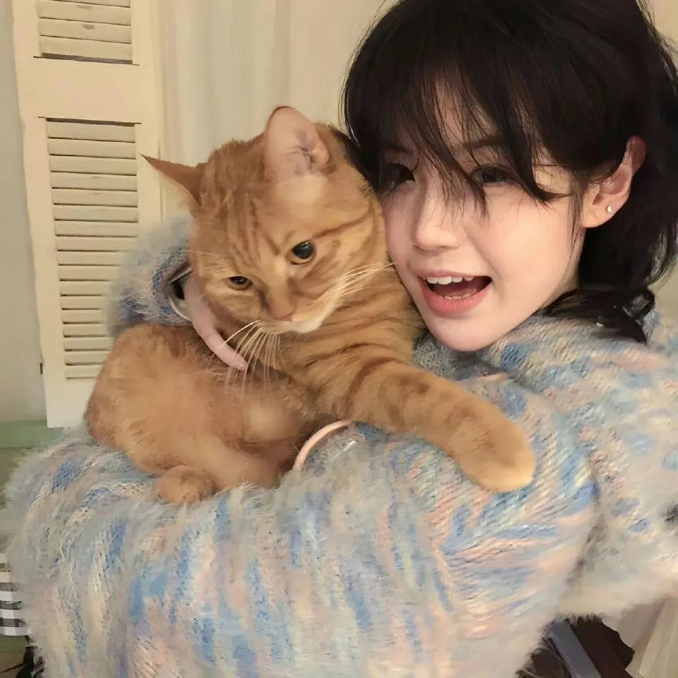 卡普尔家的儿子们